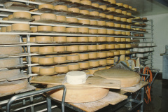 Käserei Adetswil, Käsekeller