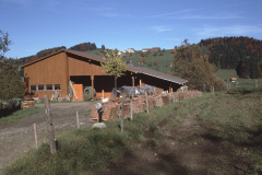 Scheune Amacher im Obis