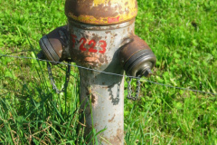 WV Allmann, Wasserablesung, ein etwas in die Jahre gekommener Hydrant.