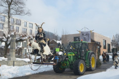 Fasnachtsumzug 2013