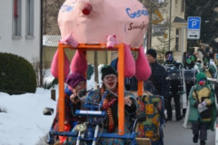 Fasnachtsumzug 2013