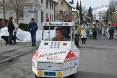 Fasnachtsumzug 2013