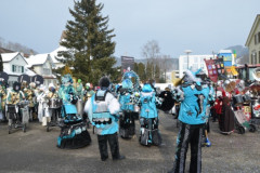 Fasnachtsumzug 2013
