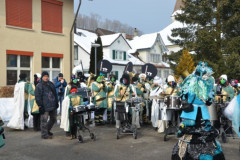Fasnachtsumzug 2013