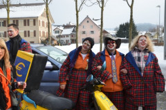 Fasnachtsumzug 2013