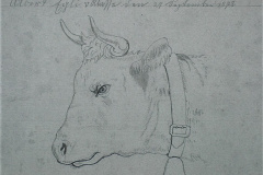 Schule Berg, Schülerarbeit, Zeichnung 5. Klasse, Albert Egli