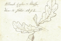 Schule Berg, Schülerarbeit, Zeichnung 5. Klasse, Albert Egli
