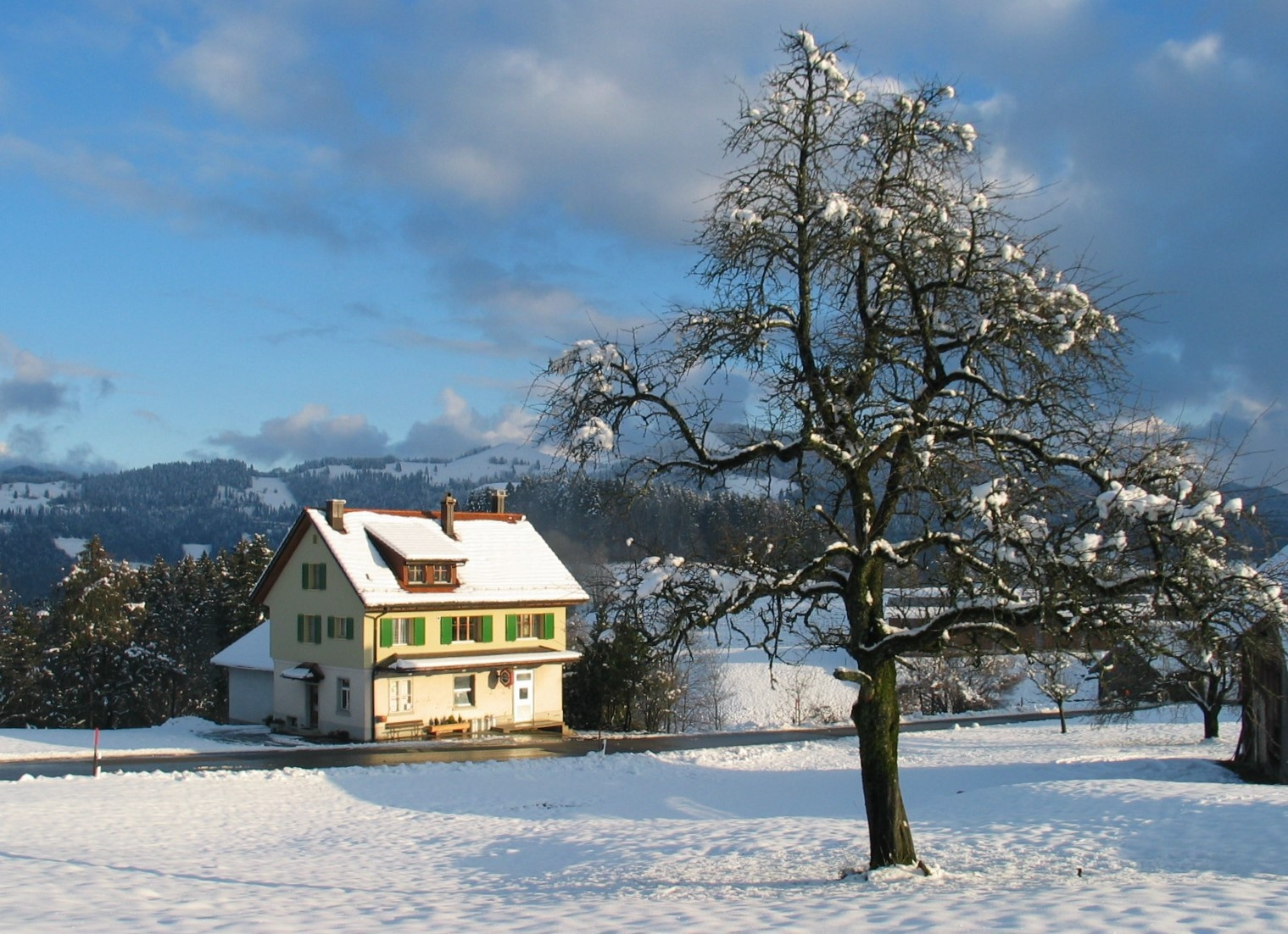 Käserei Kleinbäretswil, Winter