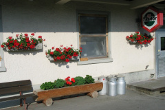 Käserei Kleinbäretswil, Blumenpracht von Marianne Schmidt