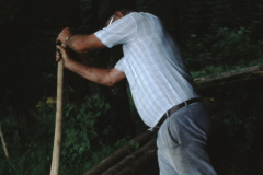 Allenberg-Holz schleiken Allenberg-Holz schleiken