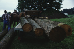 Allenberg, Holzfuder