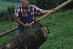 Allenberg, Holz aufladen.
