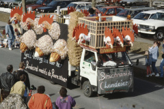 Fasnachtsumzug