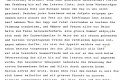 Martini Fez 1973 im Frohberg Adetswil, Bericht