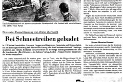 Fasnacht 1995, Zeitungsbericht