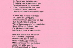 Fasnacht 1997, Schnitzelbank in der Bäri-Schnorre