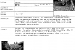 ehem. Burg Greifenberg, 13. Jahrhundert - 18. Jahrhundert, Greifenberg