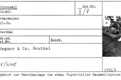 Stauweiher, 19. Jahrhundert, Neuthal