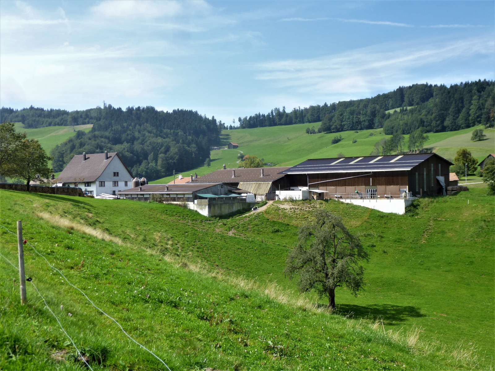 Chlibäretswil, Dorf und Häuser, Hof Brunner von südosten her gesehen