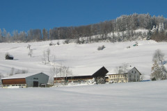 Chlibäretswil, Dorf und Häuser, Hof Hütten