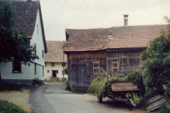 Chlibäretswil, Blick Richtung Dörfli, vlnr: Haus Forster (Mieter Gentner), Haus Brunner, Walders Schopf.