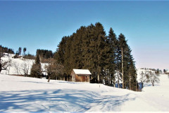 Chlibäretswil, Schürli in der Bachs