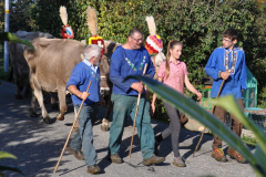 Chlibäretswil, Heimkehr von der Viehschau Fischenthal. Köbi Brunner mit Sohn Sämi. Chlibäretswil, Heimkehr von der Viehschau Fischenthal. Köbi Brunner mit Sohn Sämi.