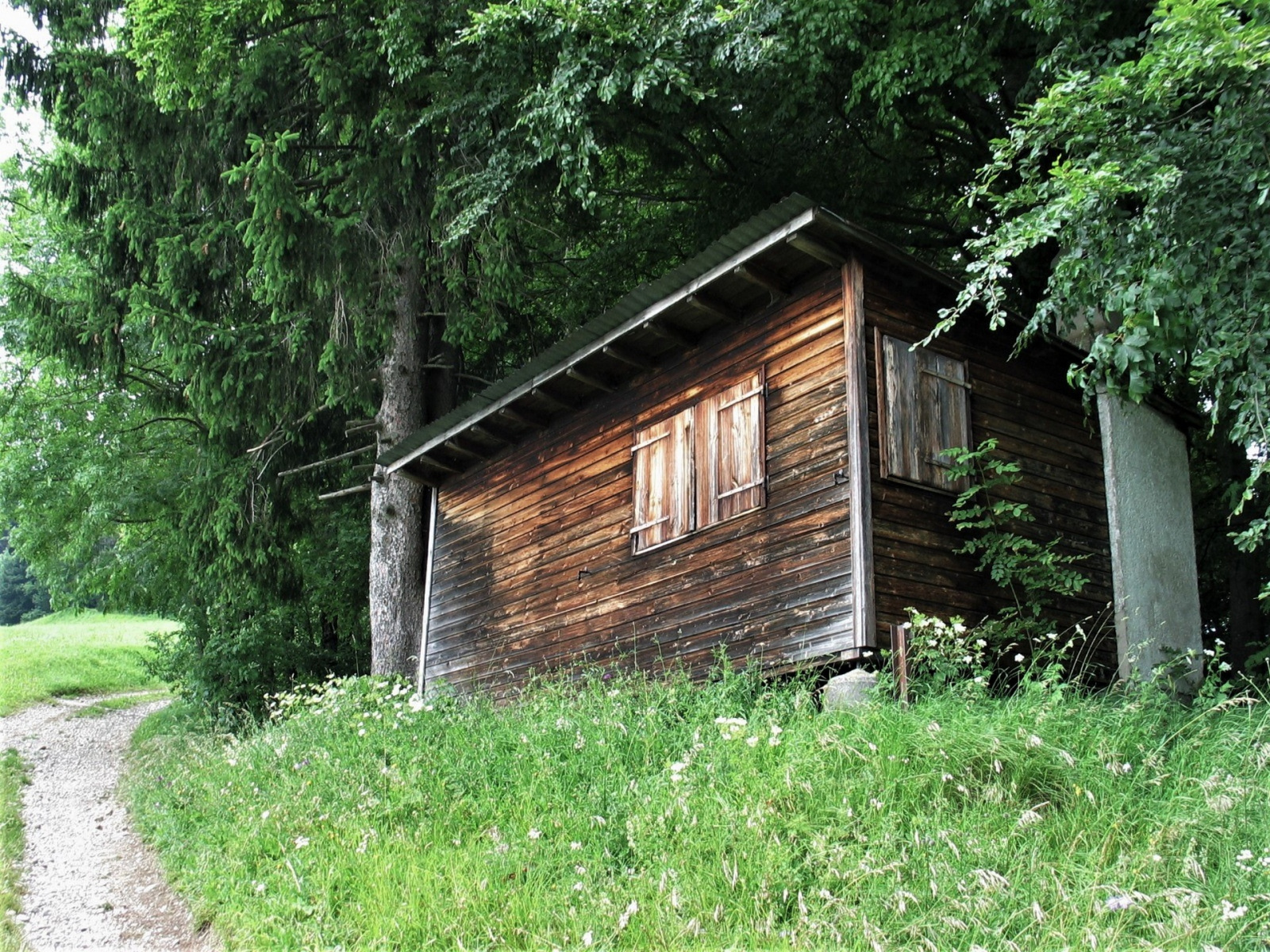 Berg, Pfadfinderhütte der Pfadi Winterthur