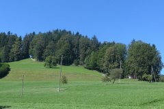Kleinbäretswil-Luegeten-Stüssel-Frauebrünneli-Hütten-Kleinbäretswil