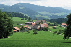 Kleinbäretswil, Luegetensträsschen führt links am Waldrand entlang.