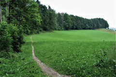 Kleinbäretswil, Luegeten