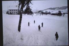 Skifahren beim Schulhaus Wappenswil