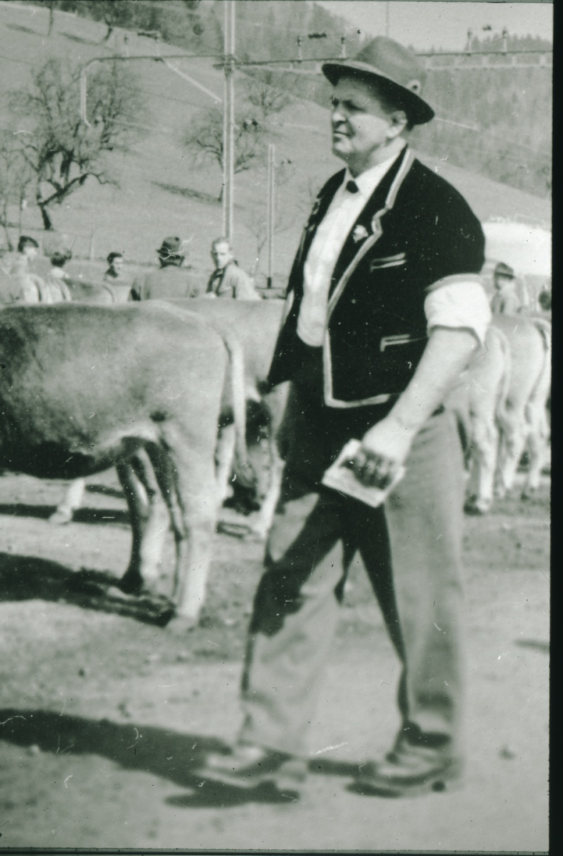 Walter Minnig (1909 - 1977, im Berner «Chüermutz»), Viehprämierung
