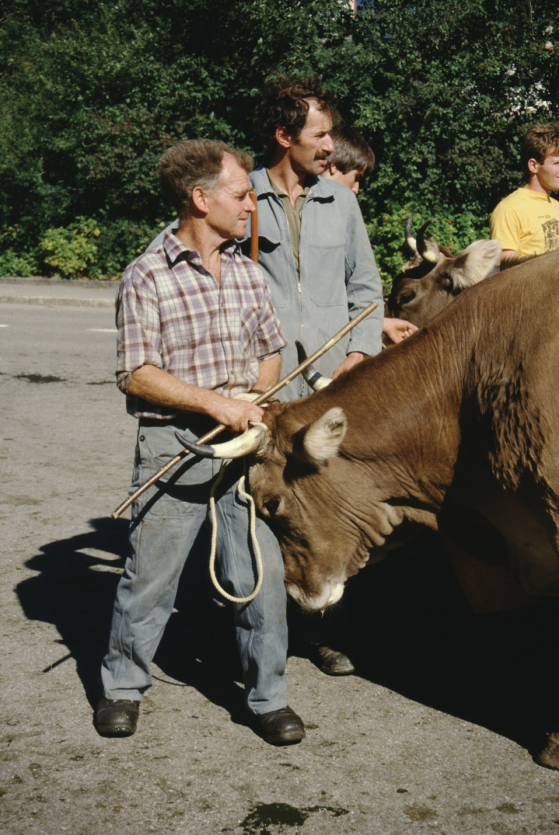 Viehprämierung, vorn Kaspar Schoch, hinten Ueli Hauser