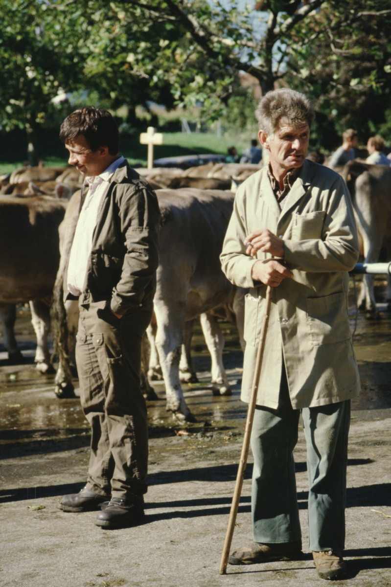 Viehprämierung, Gerhard Fischer, E. Gredig