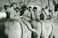 Ernst Graf, Heiri Brandenberger, Viehprämierung