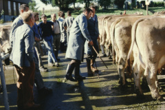 Viehprämierung