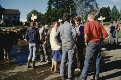 Viehprämierung, Annelies Dobler