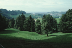 Weg zur Täuferhöhle, Blick auf Wappenswil + Lettenberg