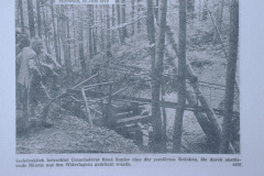 Guyer-Zeller Wanderwege, Zerstörungen durch Unwetter 1970