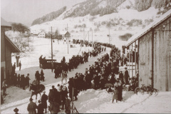 Militärskitag, Skijöring auf der Baumastrasse