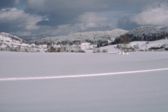 Blick gegen Bettswil, Maiwinkel