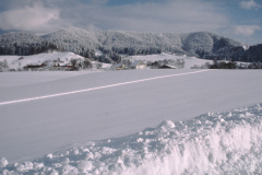 Blick Rtg Maiwinkel, Platte