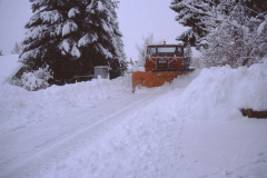 Pfadschlitten an der Rigistr