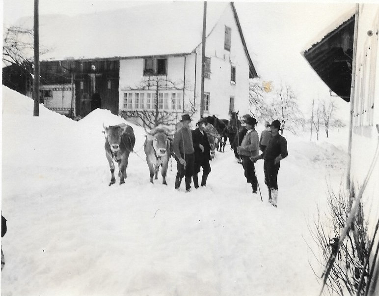 Schneepflügen in Wappenswil an Fasnacht 1932 mit Kartennasen!