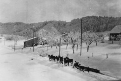 Schneepflügen im Chlaus, Wappenswil