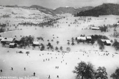 Skisport in Wappenswil