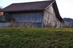 Maiwinkel