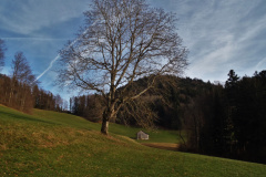 Guetsbüel