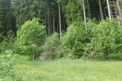Schmärbüel
